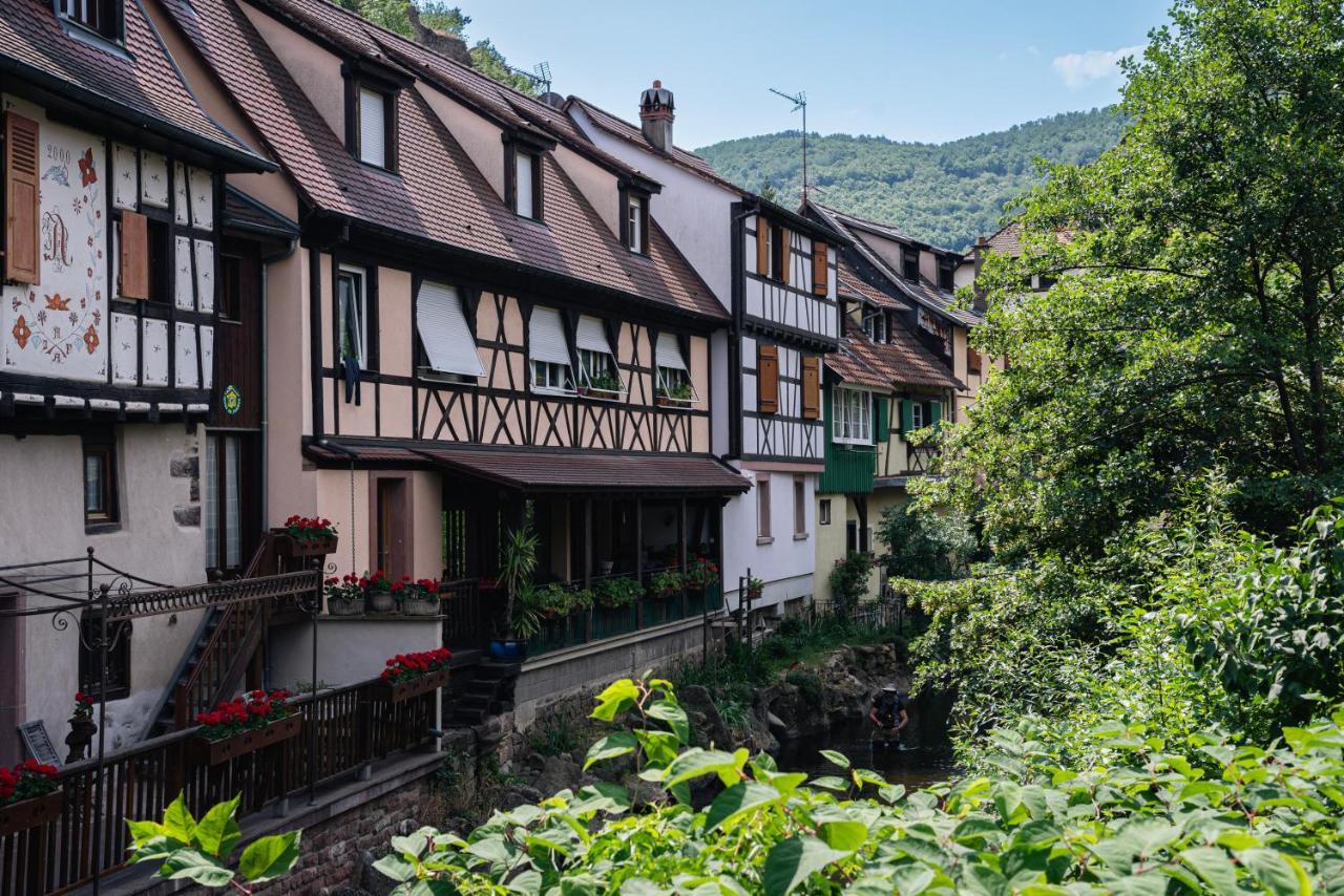 Gite Au Coeur Du Vieux Kaysersberg - Parking Prive & Wifi Ngoại thất bức ảnh